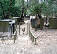 Humbug Scrub Wildlife Sanctuary - Accommodation in Brisbane