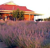 Bella Lavender Estate - Accommodation in Brisbane