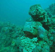 Adelaide's Underwater Heritage Trail - Accommodation in Brisbane