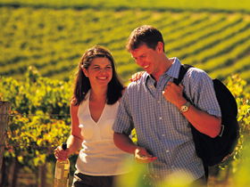 Lady Bay Vineyard - Accommodation in Brisbane 0
