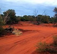 Tallaringa Conservation Park - Accommodation in Brisbane