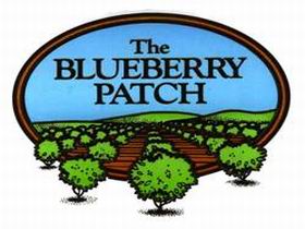The Blueberry Patch - Accommodation in Brisbane 0