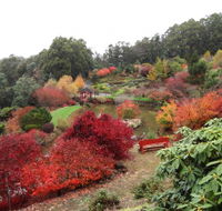 Emu Valley Rhododendron Garden - Accommodation in Brisbane