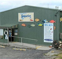 Stanley Seaquarium - Accommodation in Brisbane