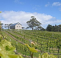 Bruny Island Premium Wines Bar and Grill - Accommodation in Brisbane