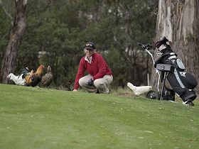 Tasmania Golf Club - The - Accommodation in Brisbane 0