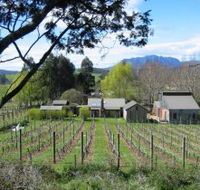 Wilmot Hills Vineyard - Accommodation in Brisbane