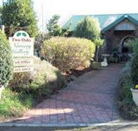 Two Oaks Nursery Gallery and Cafe - Accommodation in Brisbane