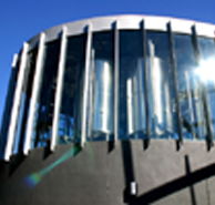 Moo Brew - Accommodation in Brisbane