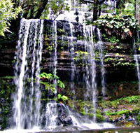 Mt Field National Park - Accommodation in Brisbane