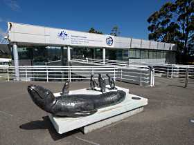 Australia's Antarctic Headquarters - Accommodation in Brisbane 0