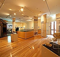 Tasmanian Tiger Exhibition - Accommodation in Brisbane
