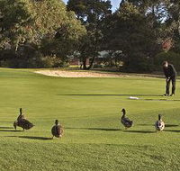 Royal Hobart Golf Club - Accommodation in Brisbane