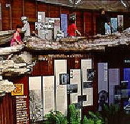 West Coast Visitor Information and Booking Centre - Accommodation in Brisbane