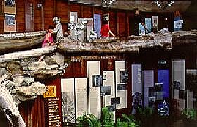 West Coast Visitor Information And Booking Centre - Accommodation in Brisbane 0