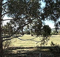 Cygnet Public Golf Course - Accommodation in Brisbane