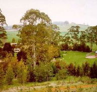 The Tasmanian Arboretum - Accommodation in Brisbane