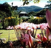 Blueberry Cottage Open Gardens - Accommodation in Brisbane