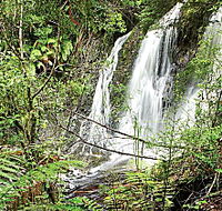 Hogarth Falls - Accommodation in Brisbane