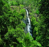 Kondalilla National Park - Accommodation in Brisbane
