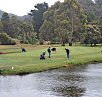Penguin Golf Course - Accommodation in Brisbane