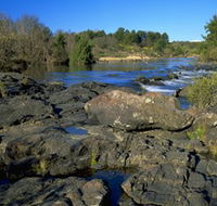 Pine Island to Point Hut Reserve - Accommodation in Brisbane