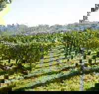 Surveyor's Hill Vineyards - Accommodation in Brisbane