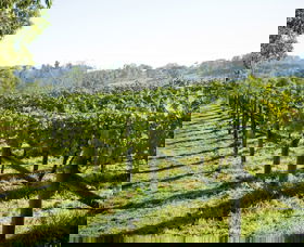 Surveyor's Hill Vineyards - Accommodation in Brisbane 0