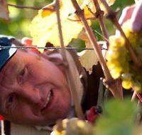 Puddleduck Vineyard - Accommodation in Brisbane