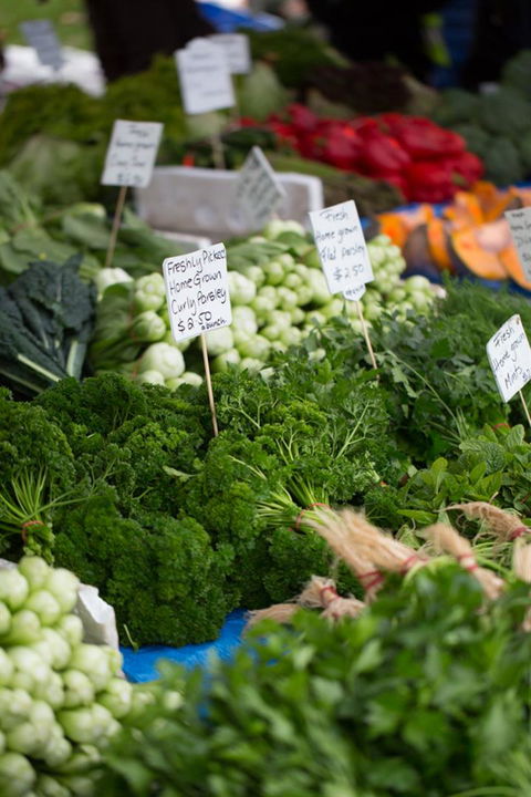 Salamanca Market - Accommodation in Brisbane 5