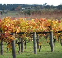 Apsley Gorge Vineyard - Accommodation in Brisbane