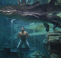Crocosaurus Cove - Accommodation in Brisbane