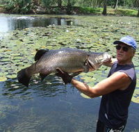 Barra Feeding - Accommodation in Brisbane