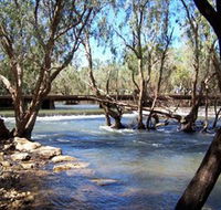 Low Level Nature Reserve - Accommodation in Brisbane
