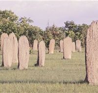 Magnetic Termite Mounds - Accommodation in Brisbane