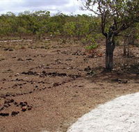 Wurrwurrwuy Garanhan Macassan Beach Interpretive Walk - Accommodation in Brisbane