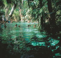 Mataranka Thermal Pool - Accommodation in Brisbane