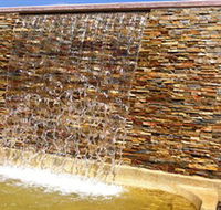 Howard Springs Nature Park - Accommodation in Brisbane