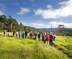 Springbrook QLD Accommodation in Brisbane