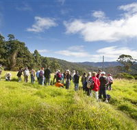 Apple Tree Park - Accommodation in Brisbane