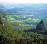 Springbrook Plateau Springbrook National Park - Accommodation in Brisbane