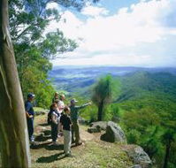 Gold Coast Hinterland Great Walk - Accommodation in Brisbane