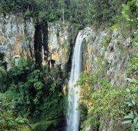 Gondwana Rainforests of Australia - Accommodation in Brisbane