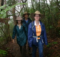 Mount Cougal Springbrook National Park - Accommodation in Brisbane
