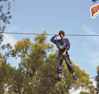 Adventure Parc at Currumbin Wildlife Sanctuary - Accommodation in Brisbane