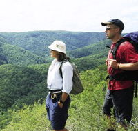 Sunshine Coast Hinterland Great Walk - Accommodation in Brisbane