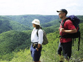 Sunshine Coast Hinterland Great! Walk - Accommodation in Brisbane 0