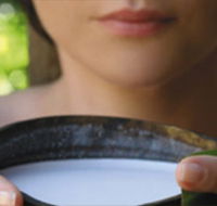 Ikatan Day Spa - Accommodation in Brisbane