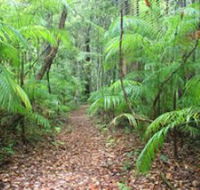 Delicia Road Conservation Park - Accommodation in Brisbane