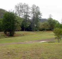 Brooyar State Forest - Accommodation in Brisbane